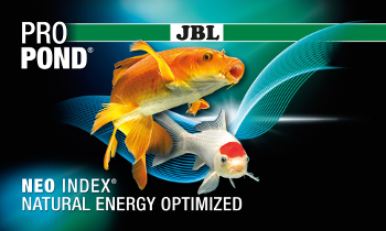 JBL NEO INDEX